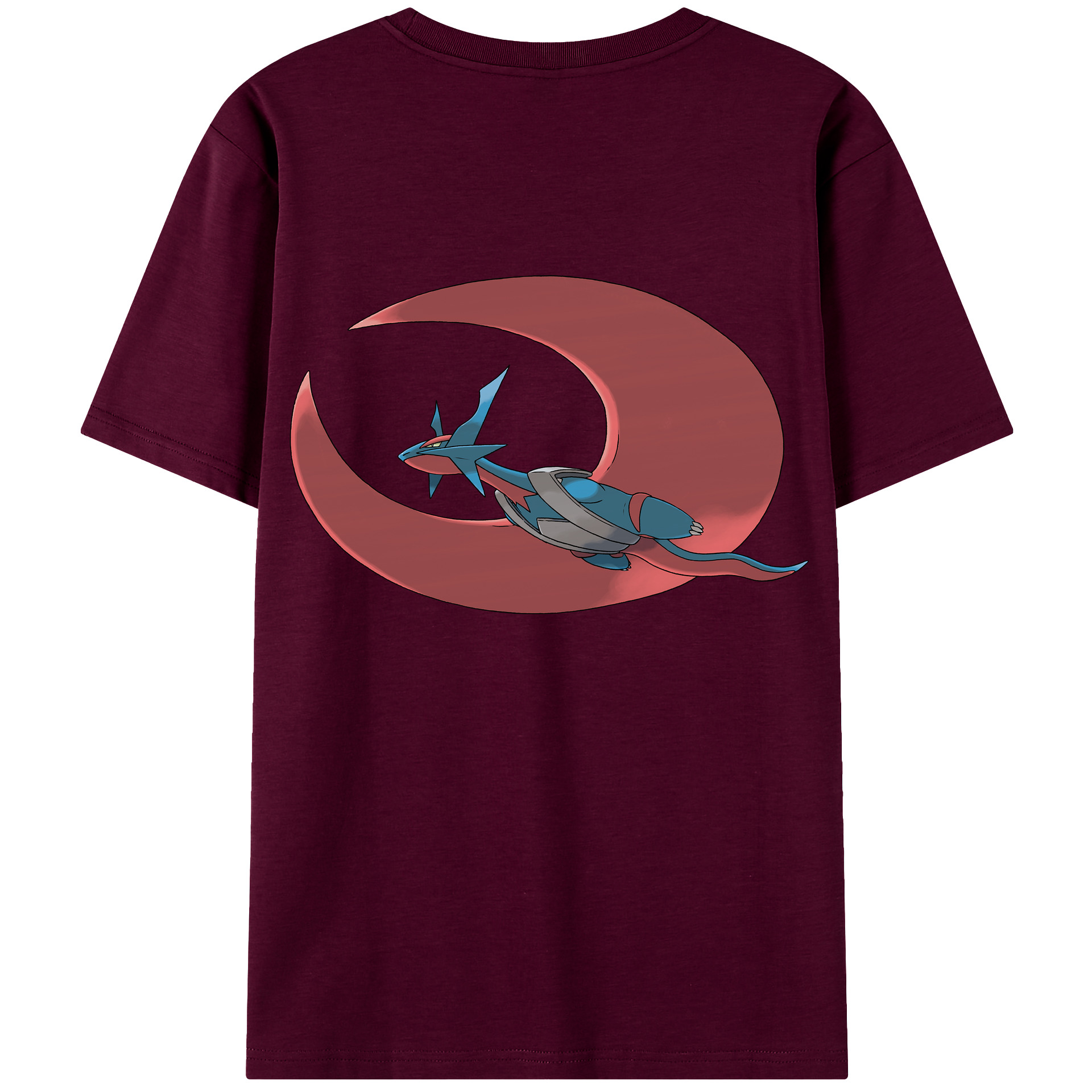 （画像用） ポケットモンスター Pokémon レディース半袖Tシャツ(バックプリント)